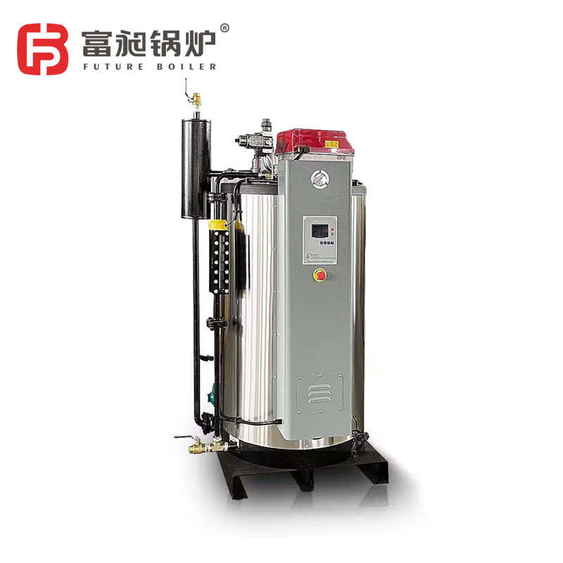 Fuel (gas) steam generator (100-300 kg)